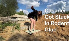 Girl in Casadei high heels got stuck in rodent glue, high heels stuck in glue, stuck girl