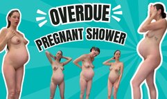 Pregnant Overdue Shower and Masturbation