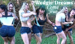 Wedgie Dreams Come True UHD