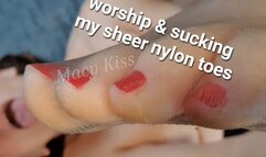 worship & sucking my sheer nylon toes