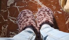 TACO PRINTED SOCKS AND PURPLE SLIPPERS