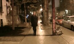 Carol Ann's Nightlife - (High Quality Version)