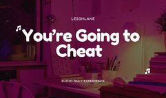 You're Going to Cheat - Homewrecker MP3 Audio - LeighLake