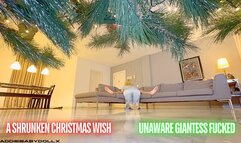 A Shrunken Christmas Wish - Unaware Giantess Fucked