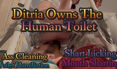 Personal Shart Licking Toilet - Ditria Rose