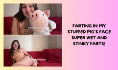 FARTING IN MY PLUSH STUFFED PIG