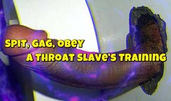 Spit, Gag, Obey: A Throat Slave’s Training 20 min