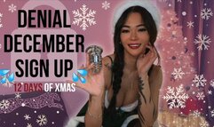 Denial December Sign Up: 12 Days of Xmas