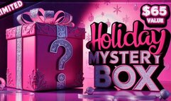 Holiday Mystery Box One: $65 Value