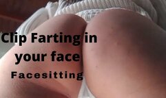 Facesitting Farts in your face