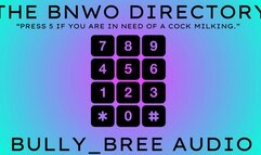 The BNWO Directory Audio