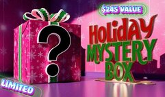 Holiday Mystery Box One: $245 Value