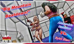 Big Mountain Beatdown! WMV