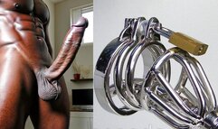 Give the key to your chastity belt to a stranger while you learn to suck and worship BBC 14 min