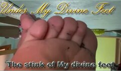 The stink of My divine feet