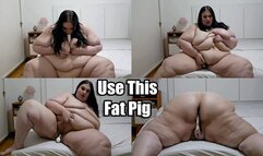 Use This Fat Pig