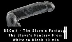 BBCult - The Slave's Fantasy: The Slave's Fantasy From White to Black 10 min