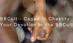 BBCult - Caged in Chastity: Your Devotion to the BBCult