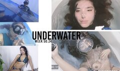 Compilation Underwater clips week 44 to week 50