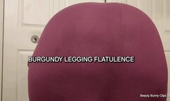 BURGUNDY LEGGING FLATULENCE