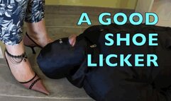 CC - Be a good shoe licker