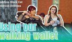 Goddess Black Cat and Mistress Andreea - Using our walking wallet