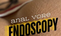 Anal vore endoscopy