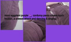 ASMR EGGPLANT PURPLE CORDUROY THICK THIGH FRICTION