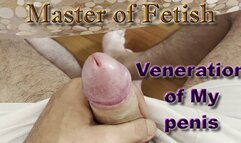 Veneration of My penis