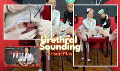 FemdomPrison - UrethralSounding