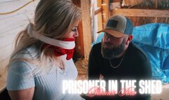 Prisoner in the Shed - Phoenix Sinz