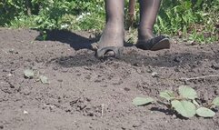 Ruined High Heels, High Heels in Mud, High Heels Bending, High Heels Crush, High Heels in Dust