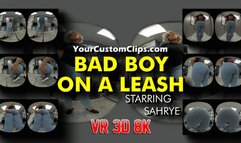 Bad Boy On Leash VR 3D 8K