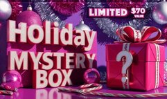 Holiday Mystery Box FIVE: $70 Value