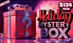 Holiday Mystery Box Four - $134 Value