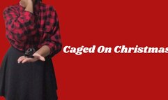 Caged On Christmas