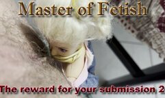 The reward for your submission 2