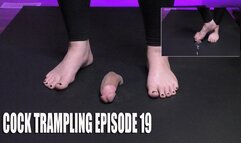 Cock Trampling Episode 19