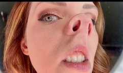 Beautiful Face Distortion and Pignose