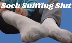 Sock Sniffing Slut