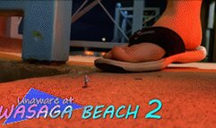 Unaware At Wasaga Beach 2 - HD 1080p Version