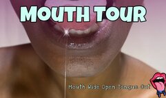 Rowanie Mouth is Open Wide Uvula and Teeth Show A Tour of My Mouth Early Morning HD