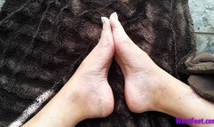 Flawless Arched Feet - HD MP4