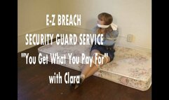 E-Z Breach Security Service, “You Get What You Pay For”