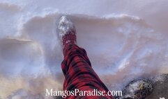 Temptress Mango's Sock Sniffing Foot Worship Snow Day