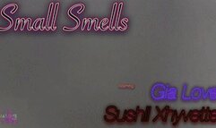 Small Smells (WMV 1080P)