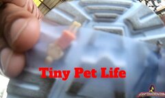 Giantess Crew - CJ - Tiny Pet Life