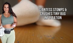 Giantess gets rid of tiny bug infestation - Lalo Cortez and Vanessa