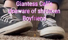 Giantess Cali is unaware of shrunken boyfriend