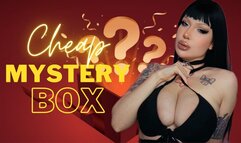 Cheap mystery box